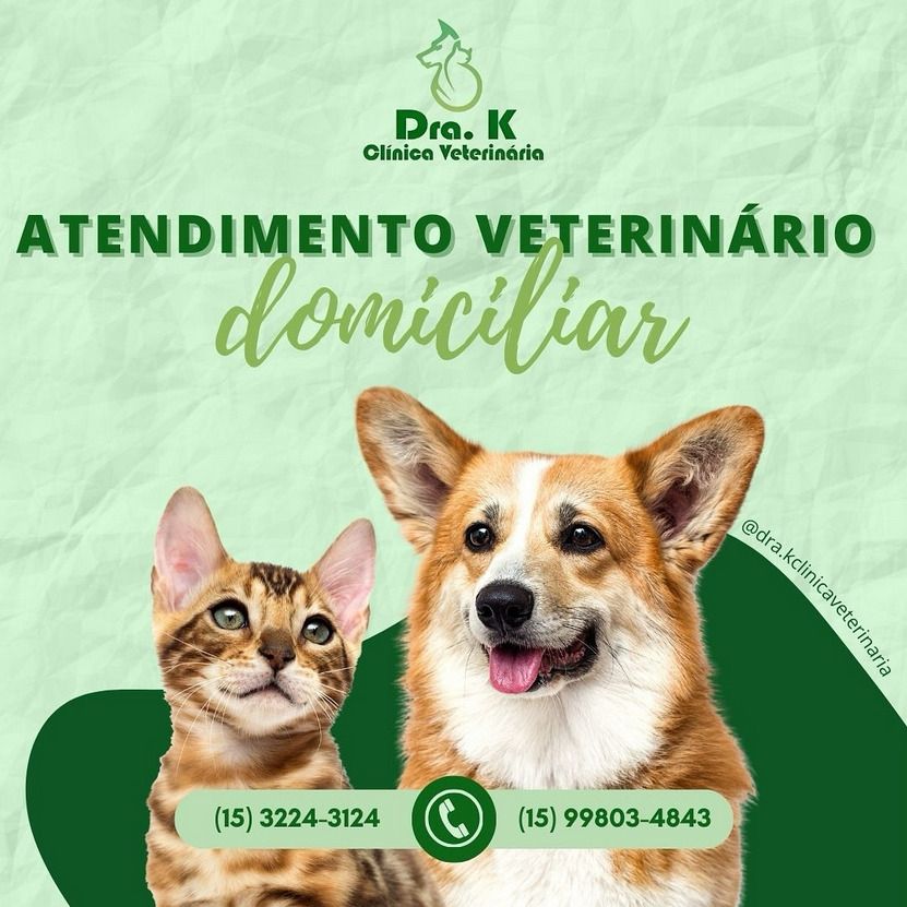 Post @animalpetcursino 1